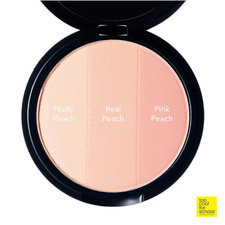 [TooCoolForSchool] Artclass By Rodin Blusher De Peche 9.5g - Diva Melody