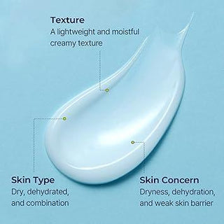 [Torriden] DIVE IN Low Molecular Hyaluronic Acid Cream 80ml - Diva Melody