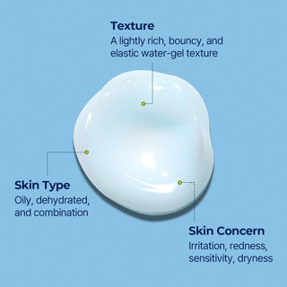 [Torriden] DIVE IN Low Molecular Hyaluronic Acid Soothing Cream 100ml - Diva Melody