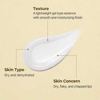 [Torriden] Solid In Ceramide Lip Essence 11ml - Diva Melody