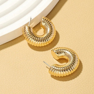 Trendy Circle Twists Hoop Earrings - Diva Melody