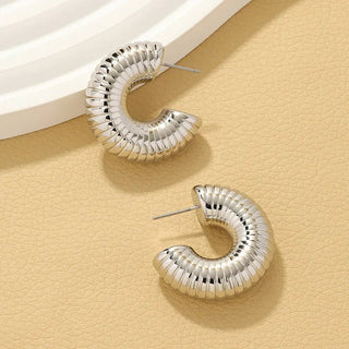 Trendy Circle Twists Hoop Earrings - Diva Melody