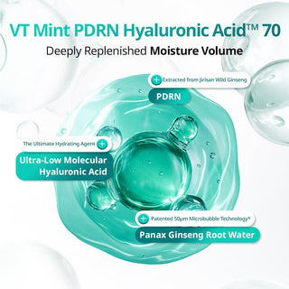 [VT Cosmetics] PDRN Hyaluronic Acid Micro Bubble Serum 70ml - Diva Melody