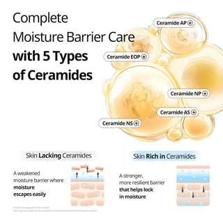 [VT Cosmetics] Rice Ceramide Capsule Cream 50ml - Diva Melody